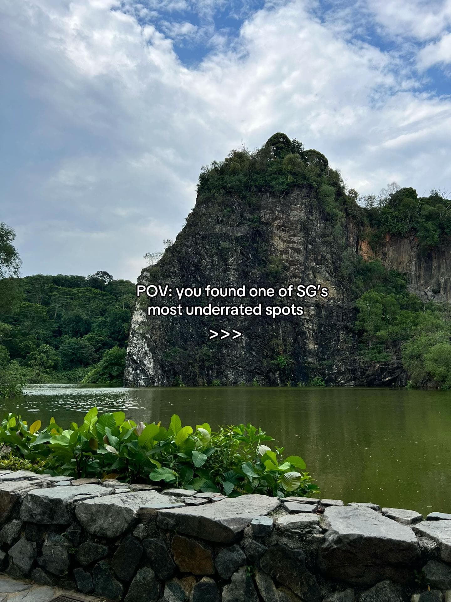 Explore Singapore's Peaceful Nature Parks