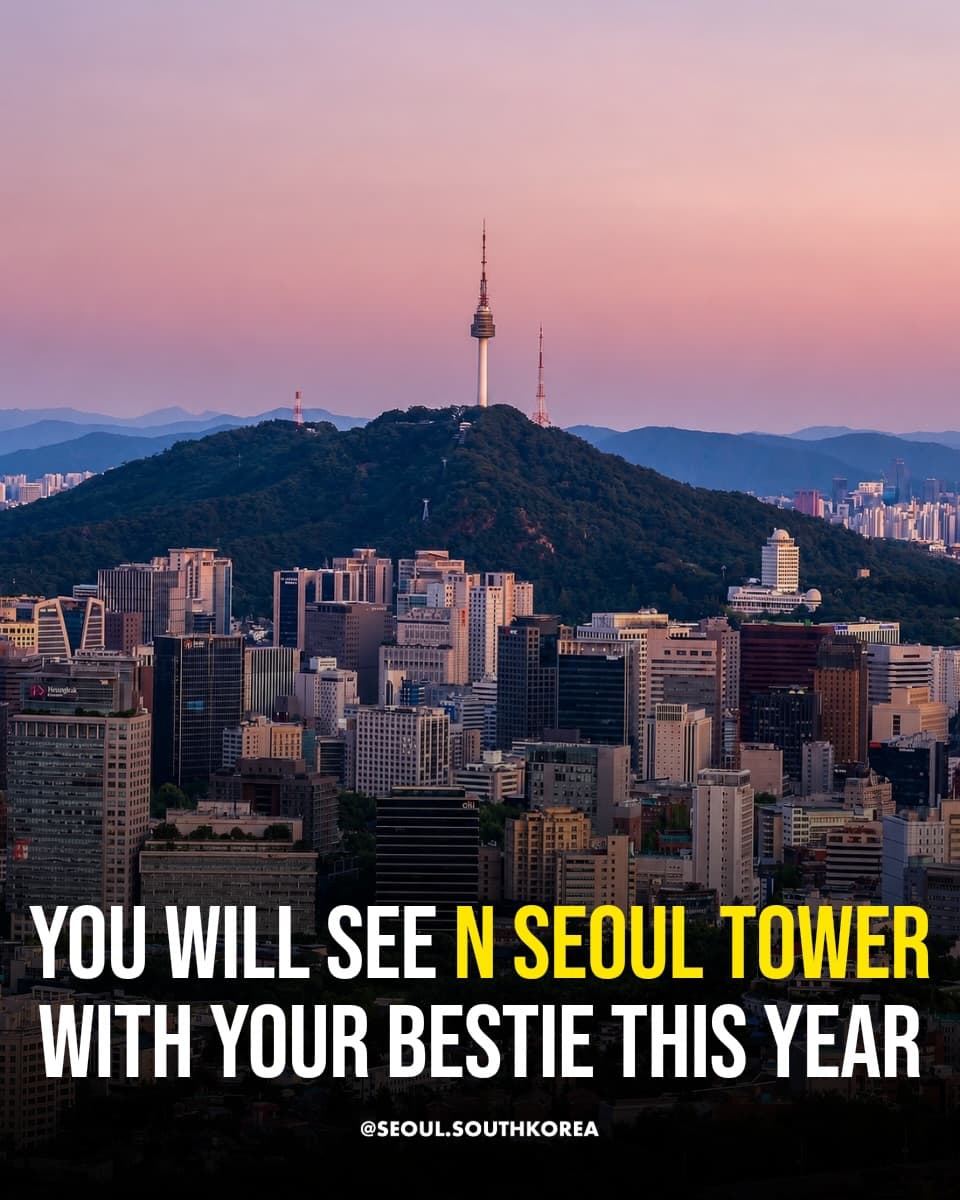 Best Views of N Seoul Tower and Namsan Park