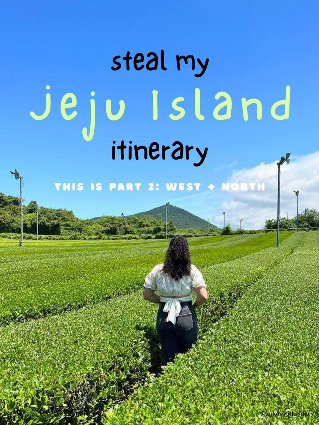 Jeju Island's North and West: Cafes, Markets, and Black Pork