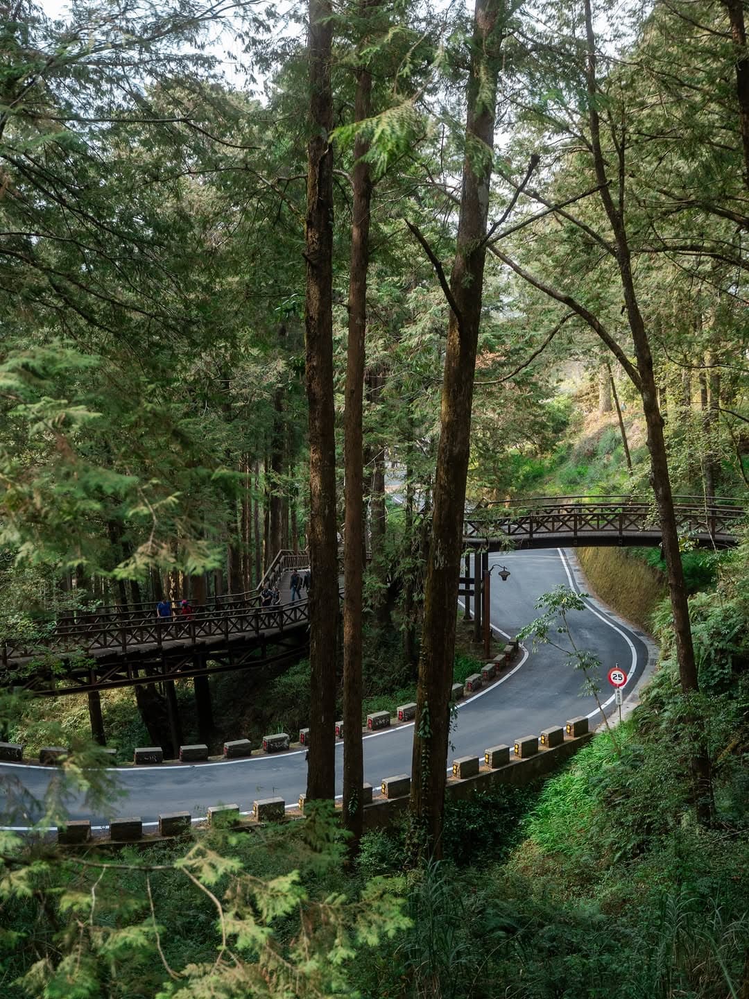 Alishan Forests And Historic Railway