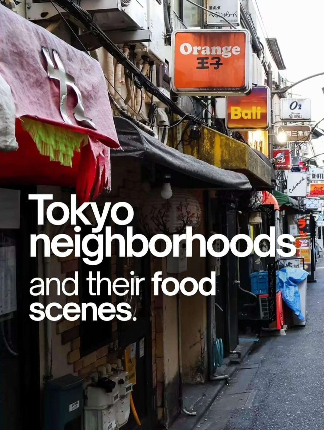 Tokyo's Diverse Neighborhood Food Scenes Explored
