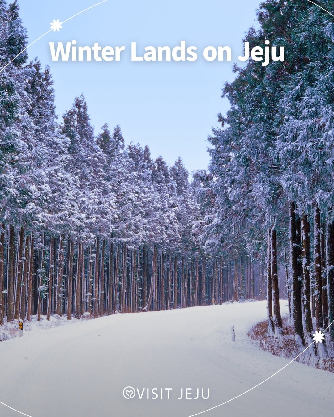 Winter Wonders on Jeju Island