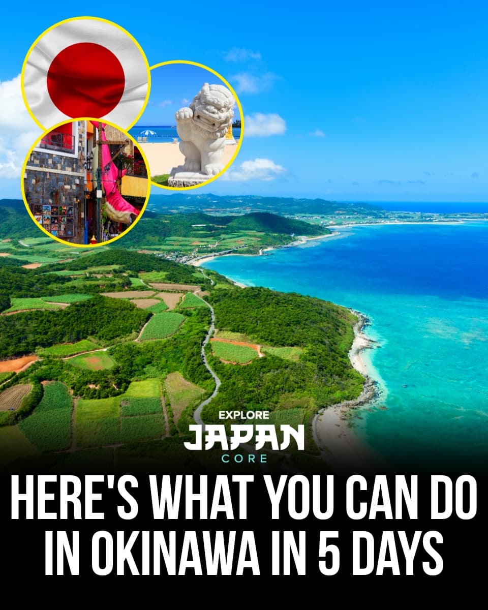 Okinawa Travel: Must-See Attractions and Destinations