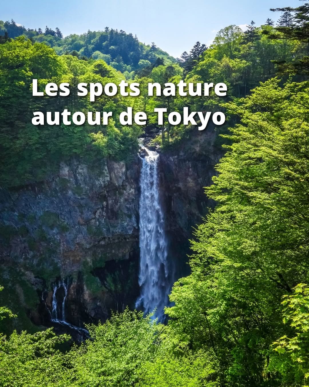 Nature Escapes Near Tokyo