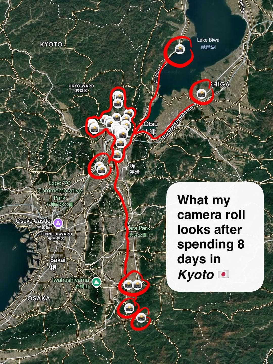 Kyoto's Cherry Blossoms and Scenic Views