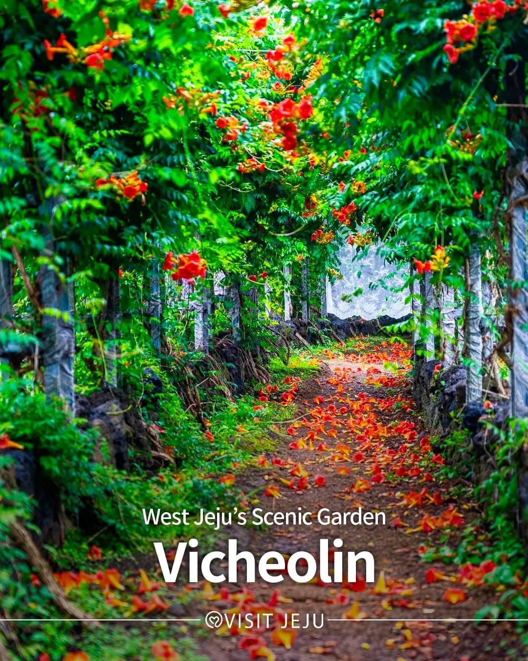 Summer Flower Festivals in West Jeju