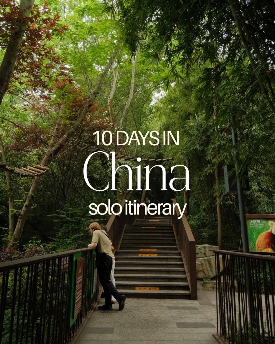 Solo China Trip: Chengdu, Zhangjiajie, and Shanghai