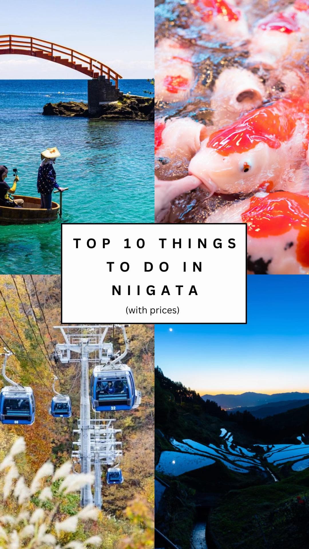 Niigata's Best Kept Secret: Ten Stunning Spots