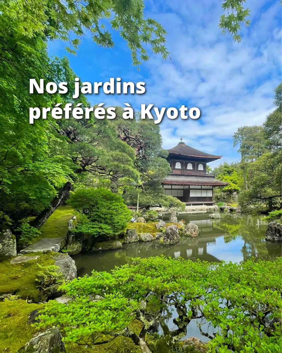 Kyoto's Secret Gardens For Peaceful Contemplation
