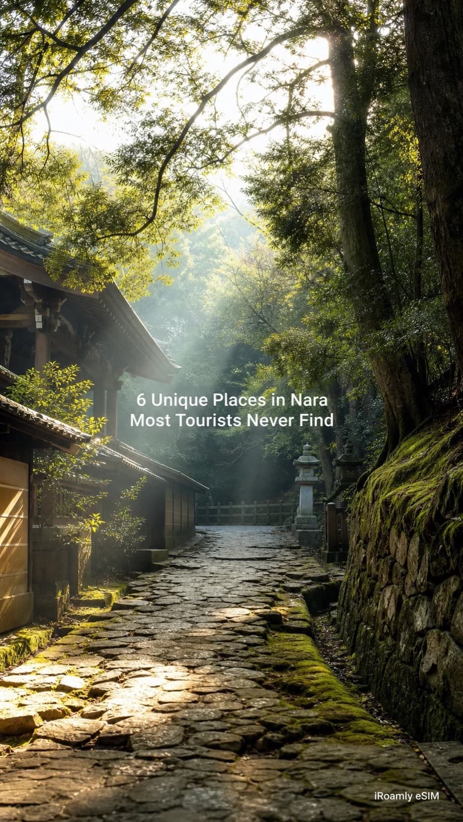 Nara's Quiet Corners Beyond Temple Crowds