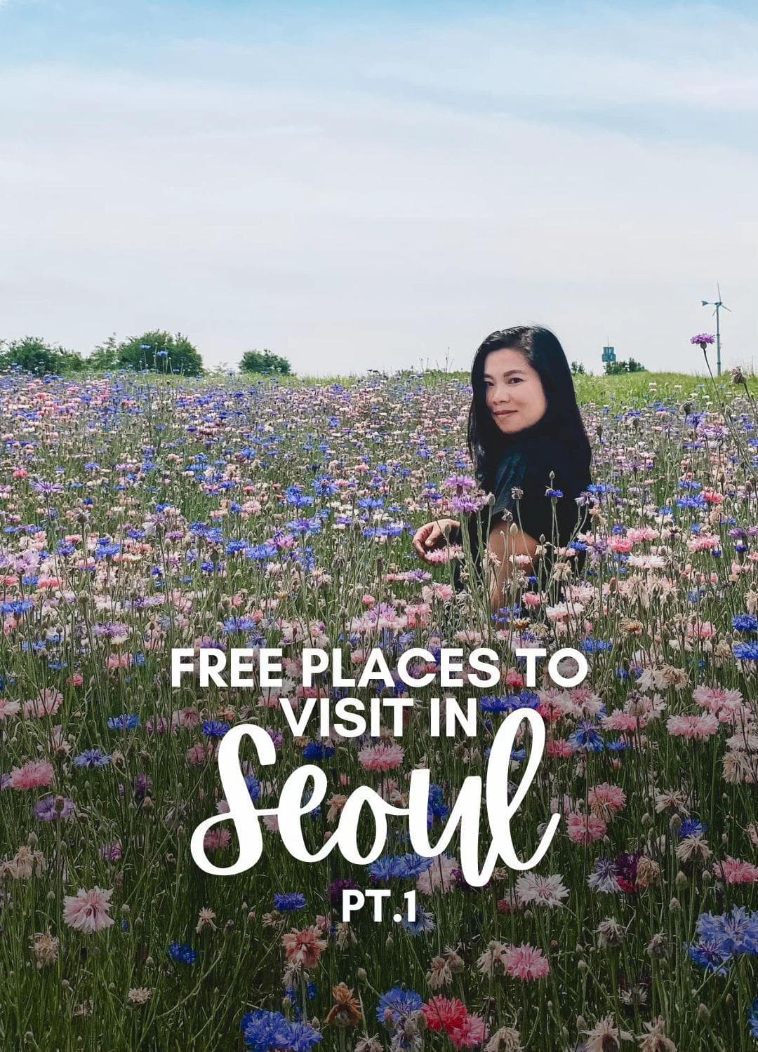 9 Free Attractions In Seoul