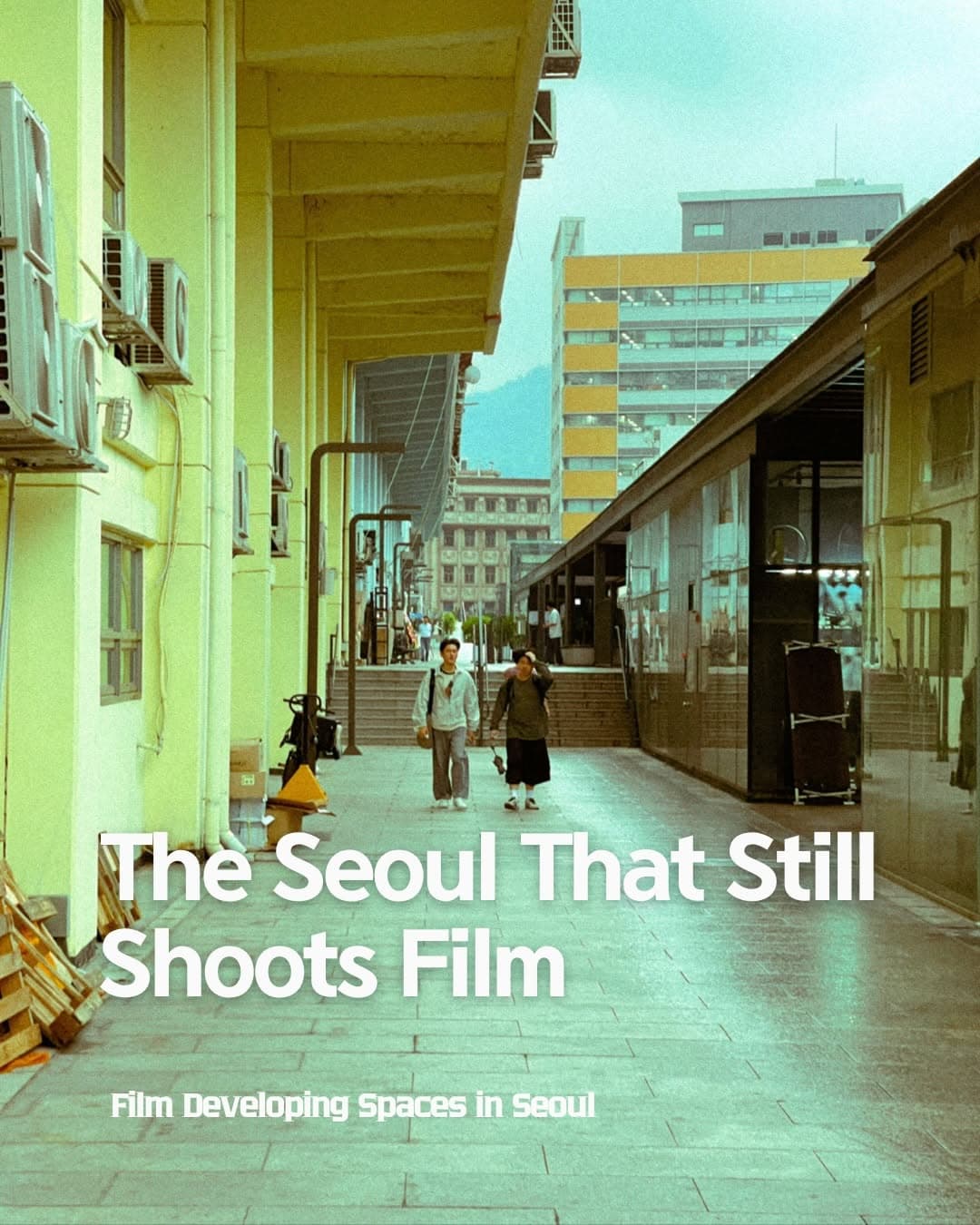 Seoul's Film Photography Havens