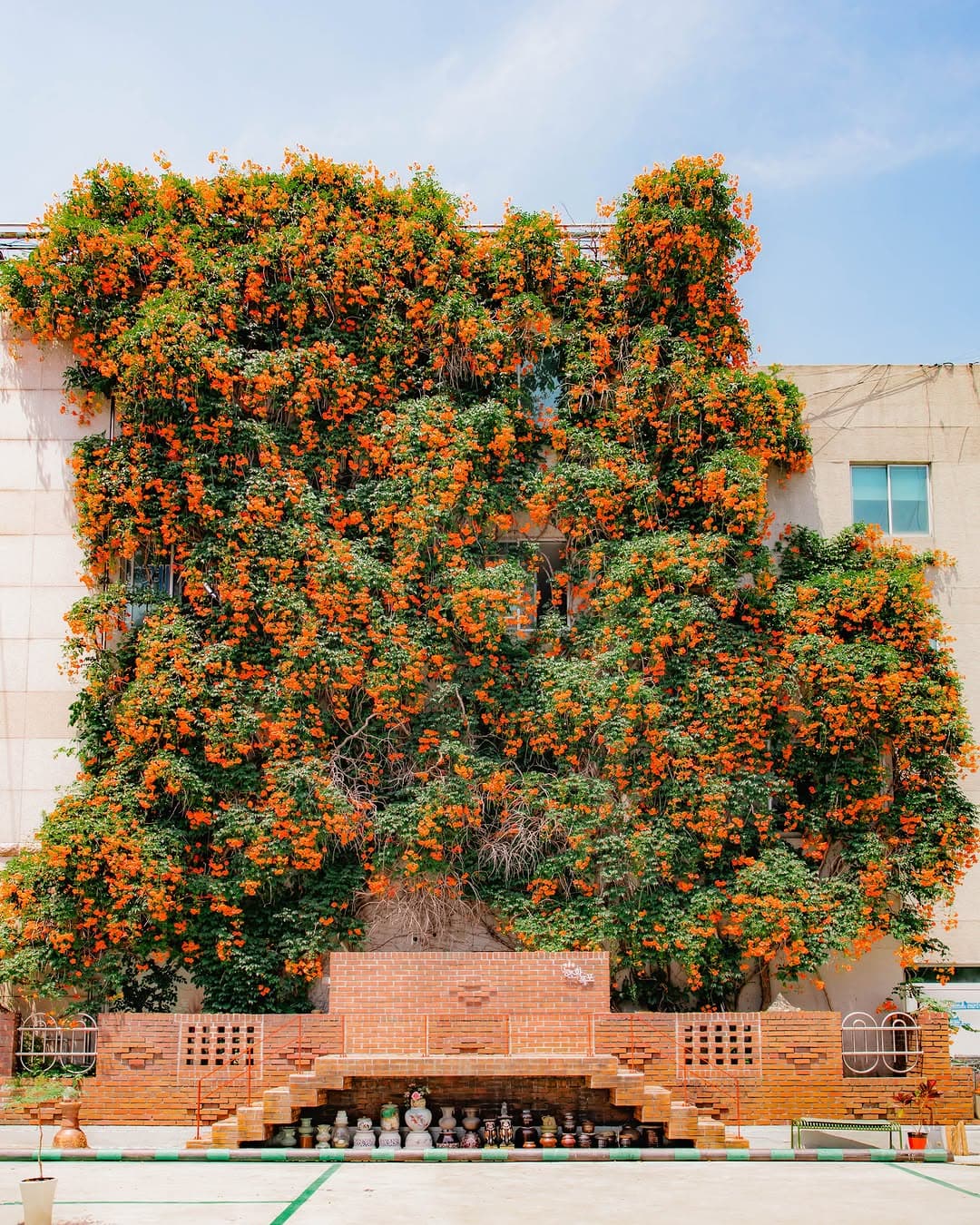 Daegu Trumpet Vine Waterfall Near Administrative Center