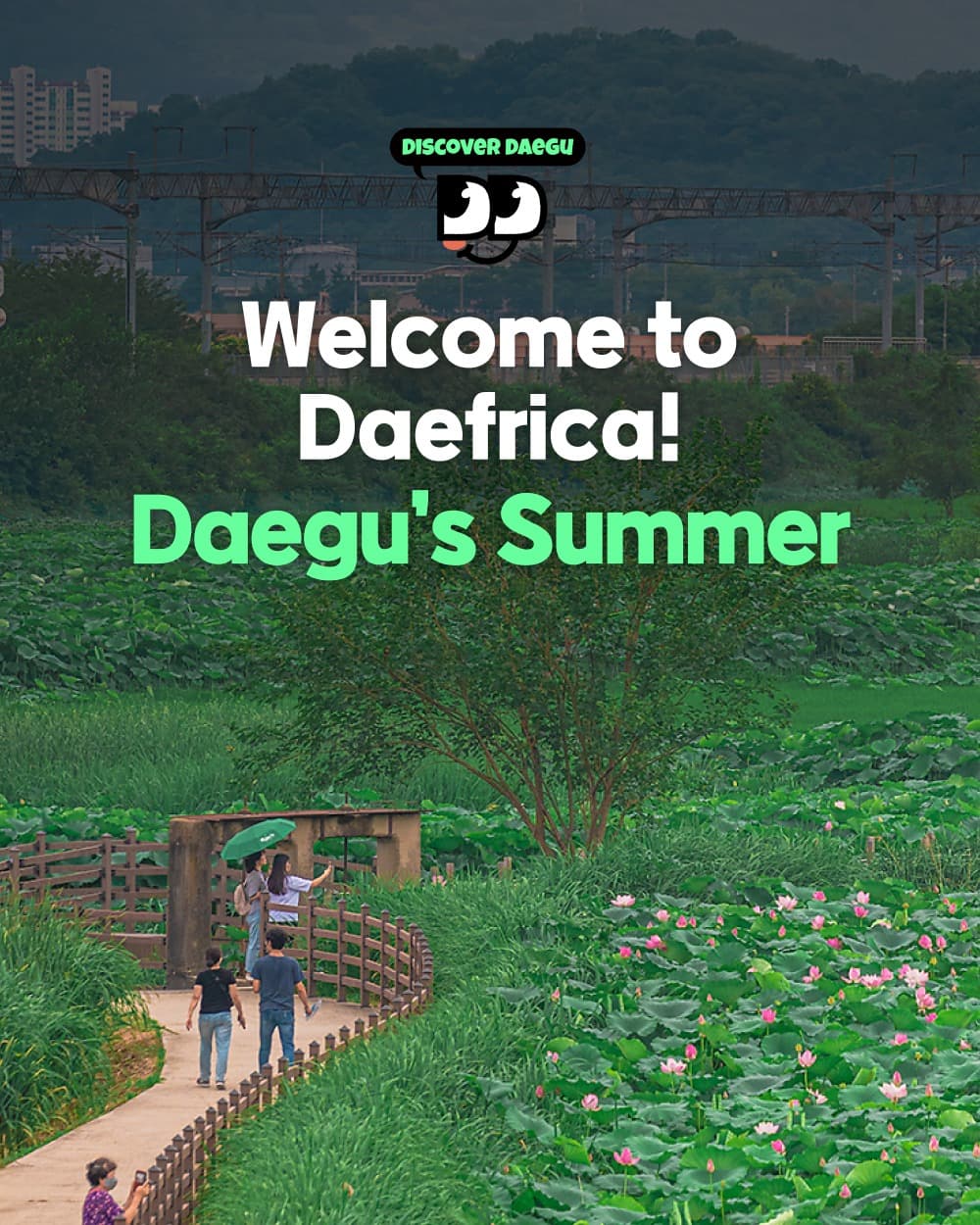 Daegu's Hottest Summer Destinations and Festivals
