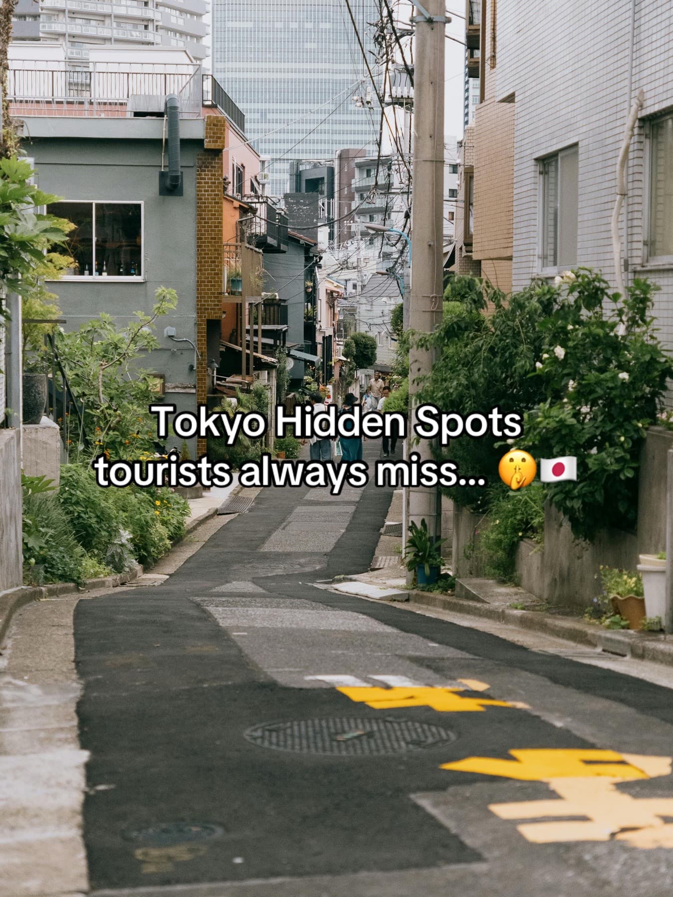 Aesthetic Tokyo Spots Tourists Often Miss