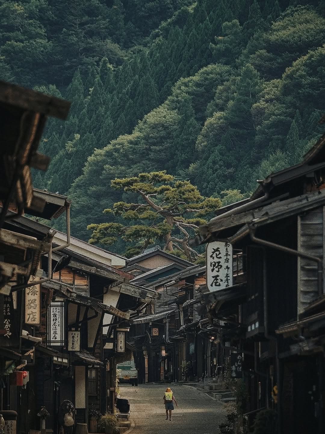 Twenty Iconic Japanese Nature and Temple Destinations