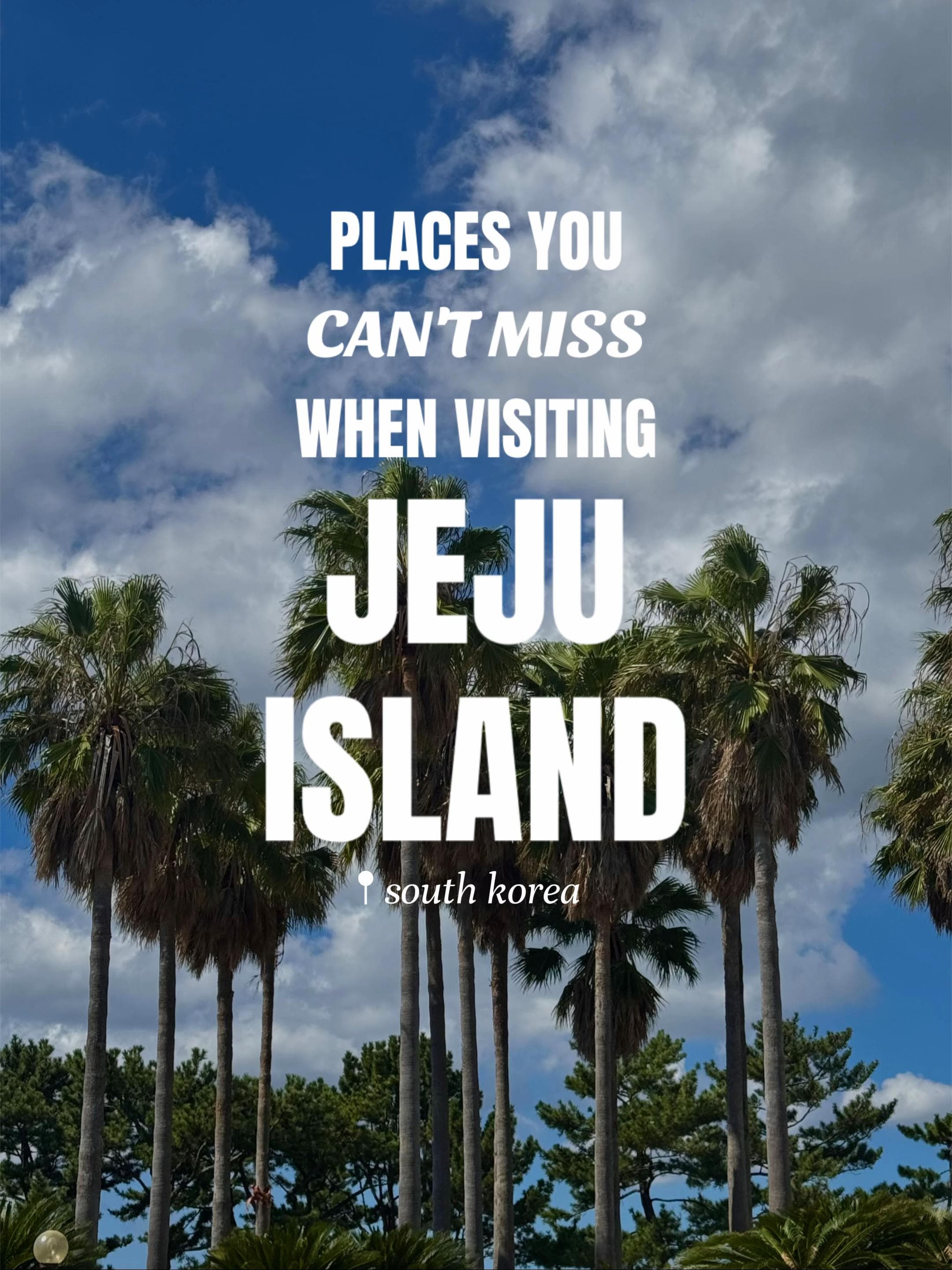 Jeju Island's Natural Beauty And Tea Culture