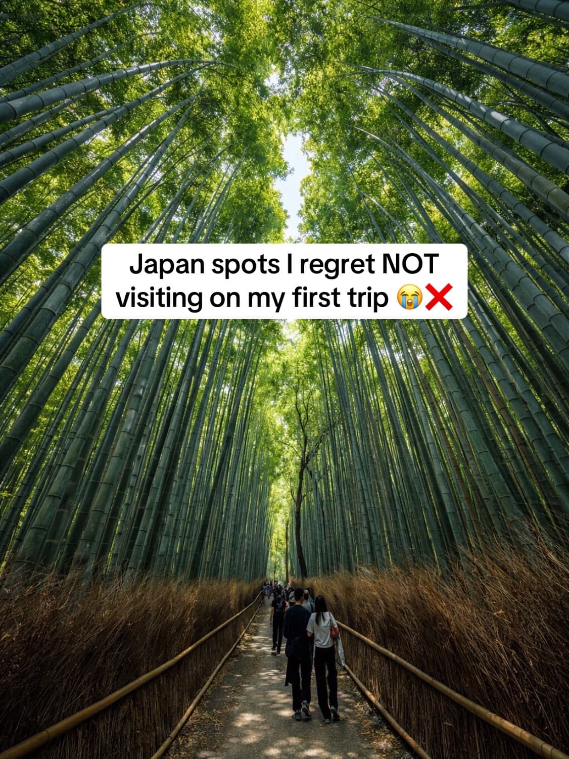 Famous Japanese Destinations and Temples
