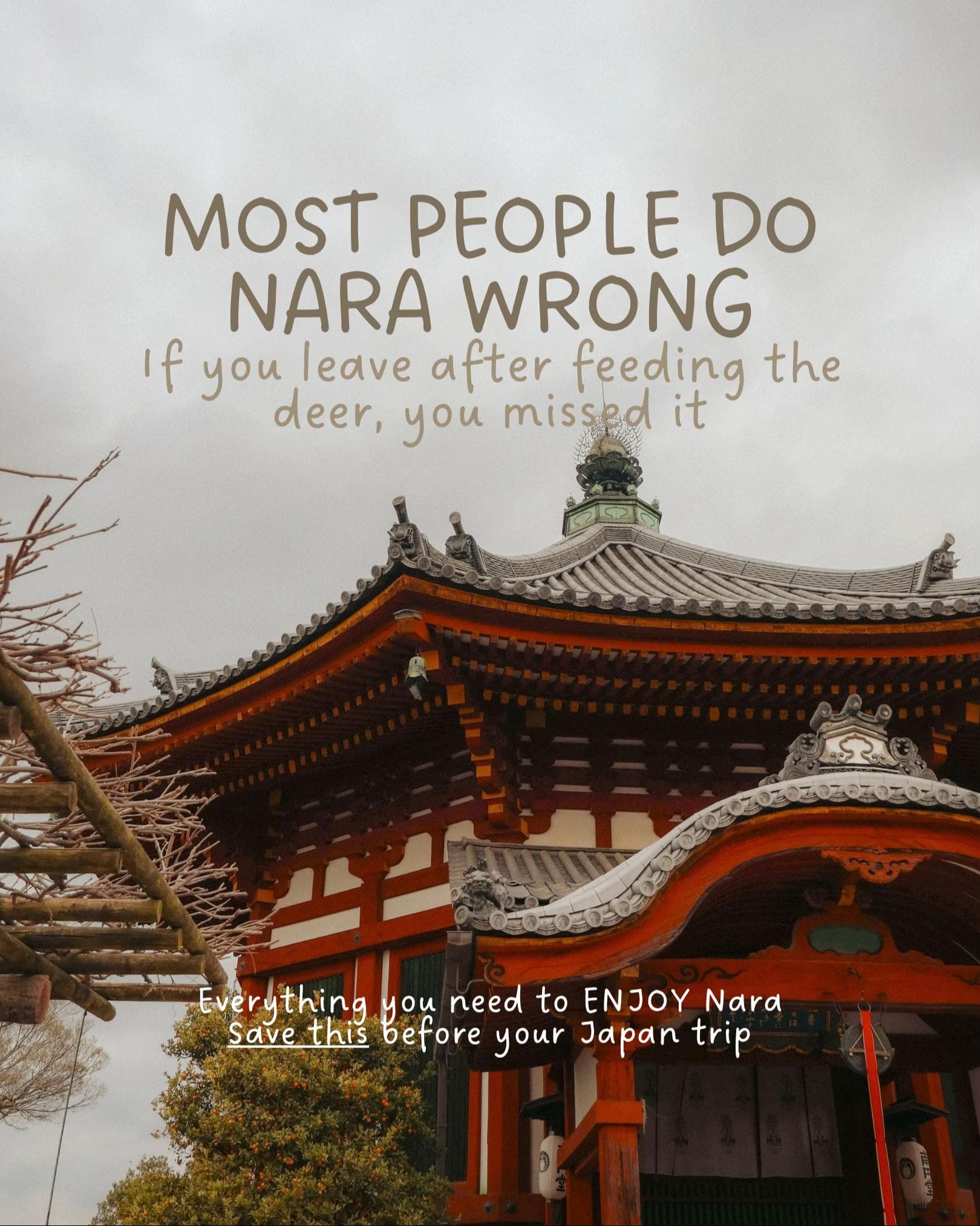 Nara Park: Deer, Temples, and Delights