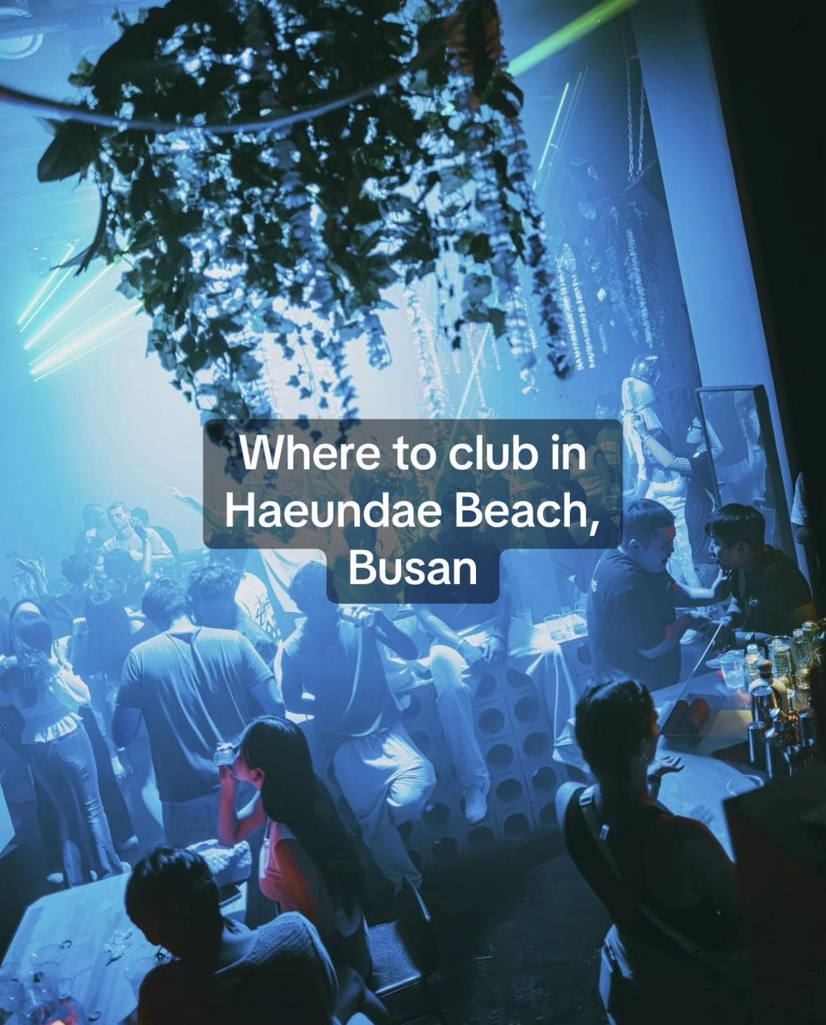 Haeundae Beach and MELT BUSAN