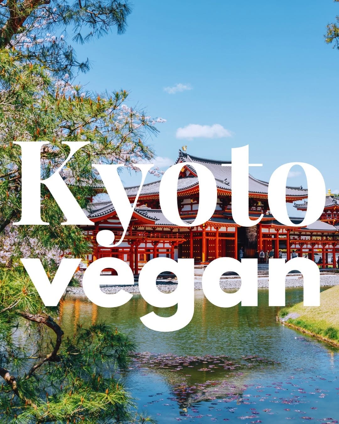 Kyoto's Abundant Plant-Based Dining Scene