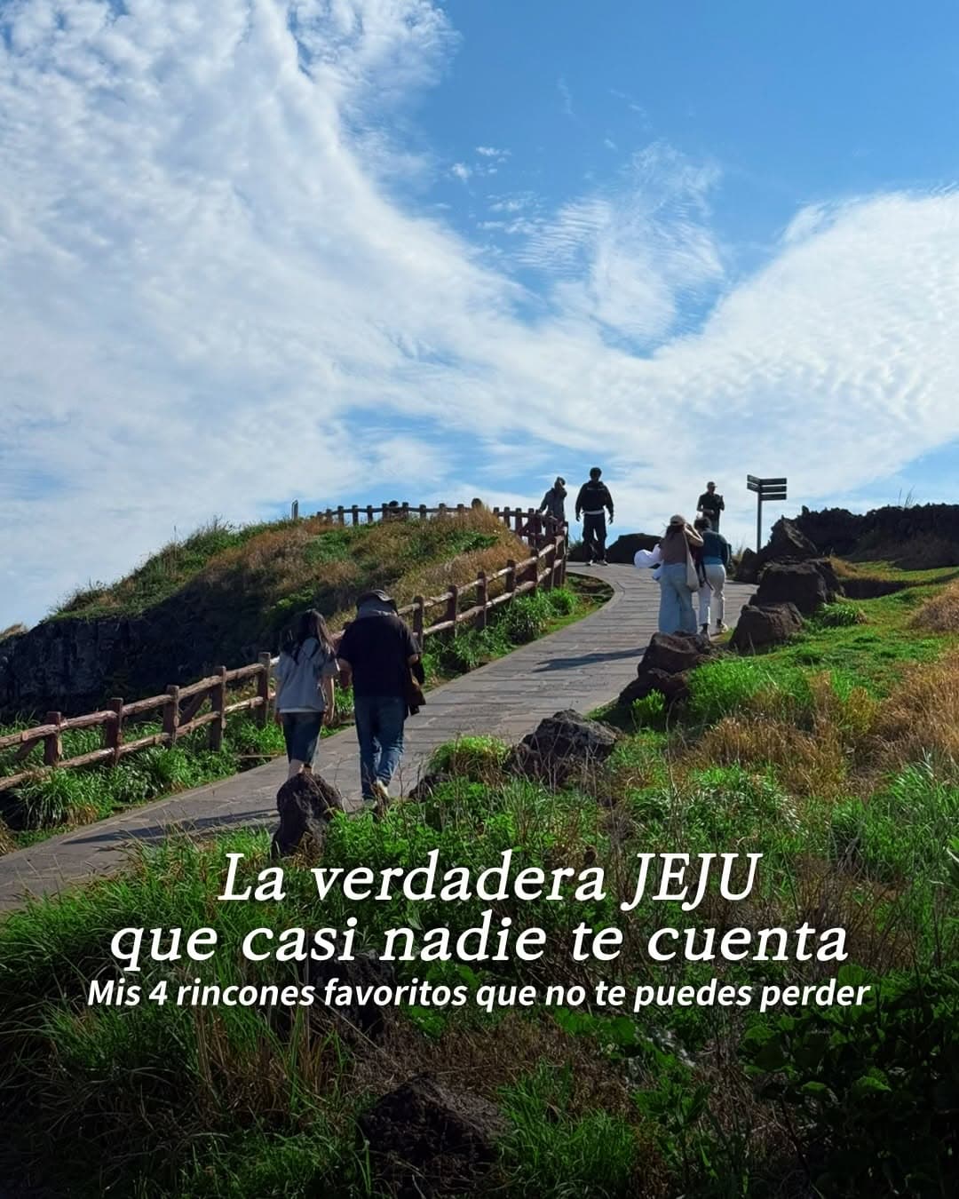 Experience the True Nature of Jeju Island