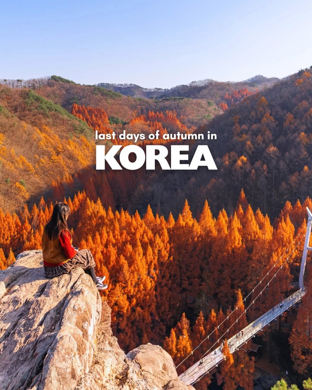 Autumn Getaway in Daejeon: Forests and Bakeries