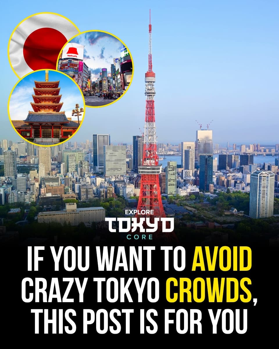 Tokyo's Quiet Gems for the Crowd-Averse Traveler