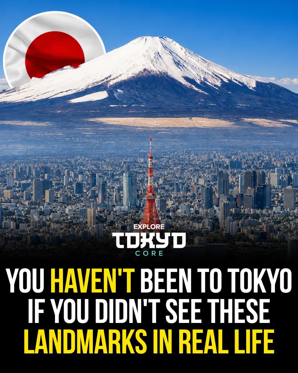 Must-See Tokyo Landmarks And Attractions