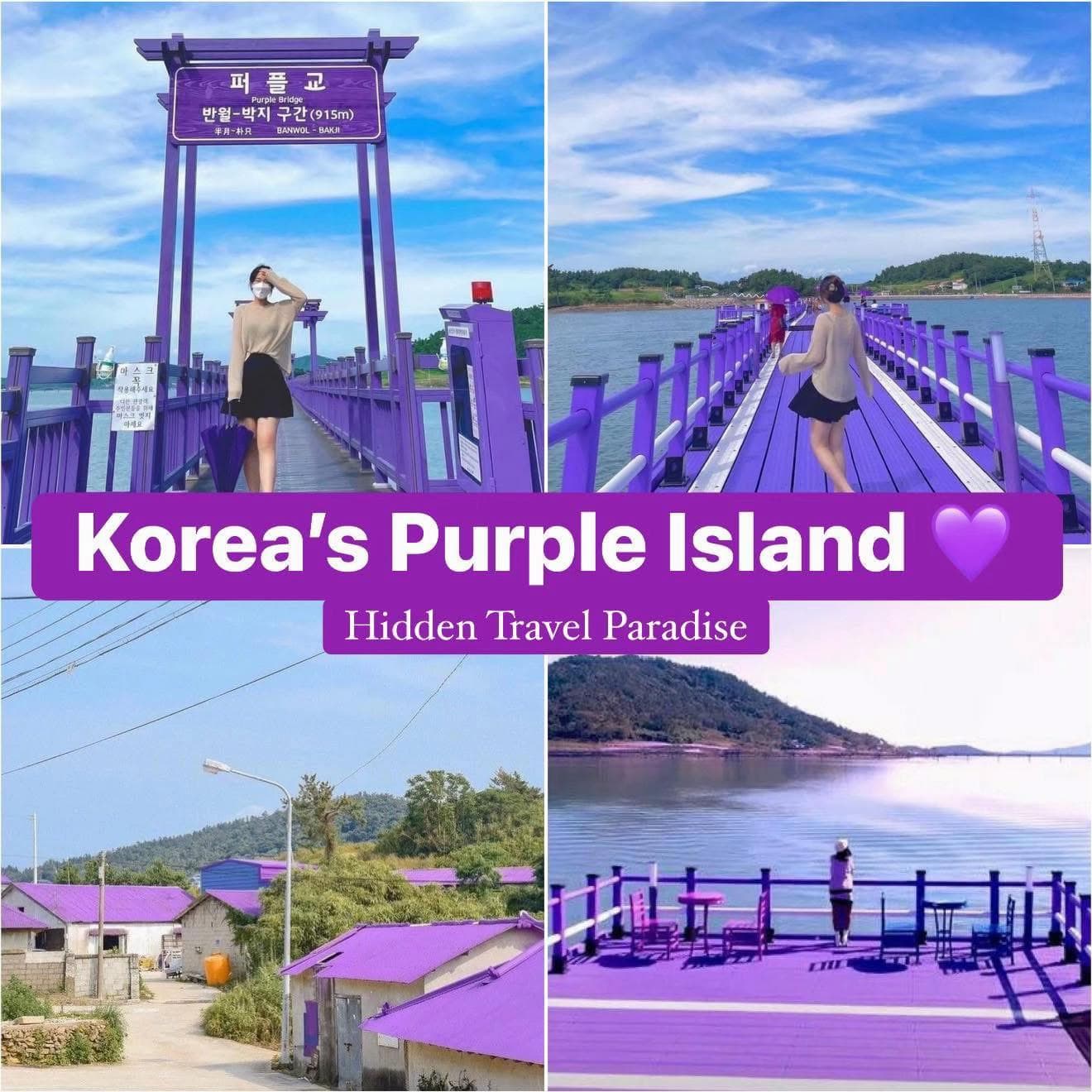 Experience South Korea's Enchanting Purple Island