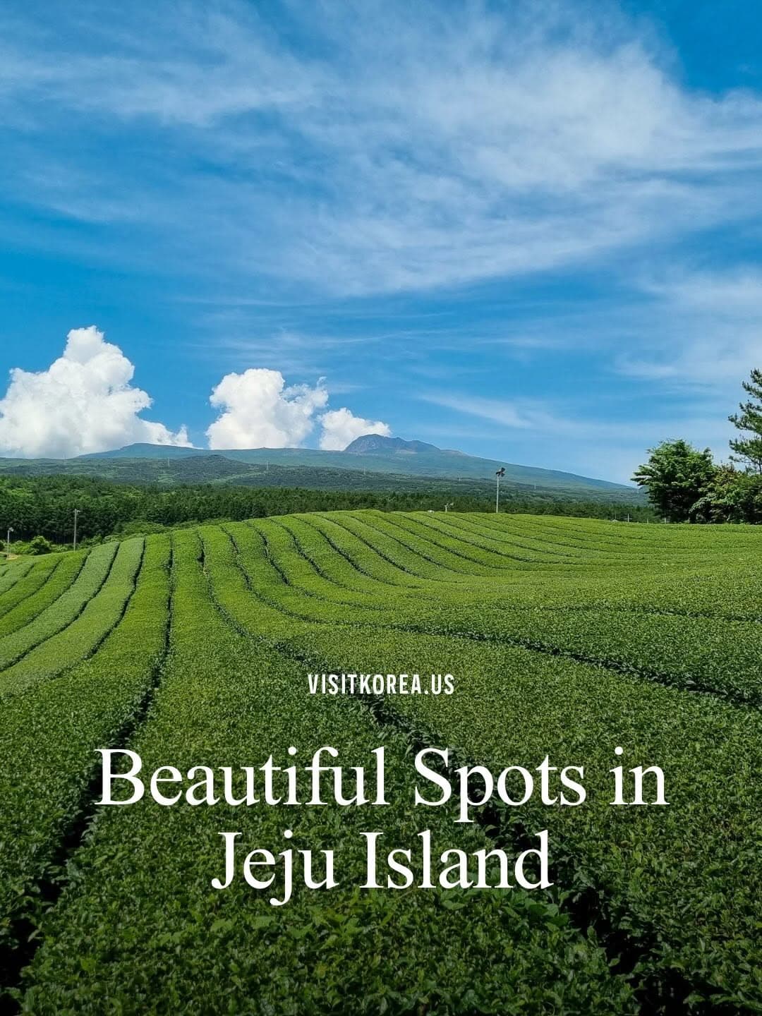 Jeju Island's Top Natural Wonders And Attractions