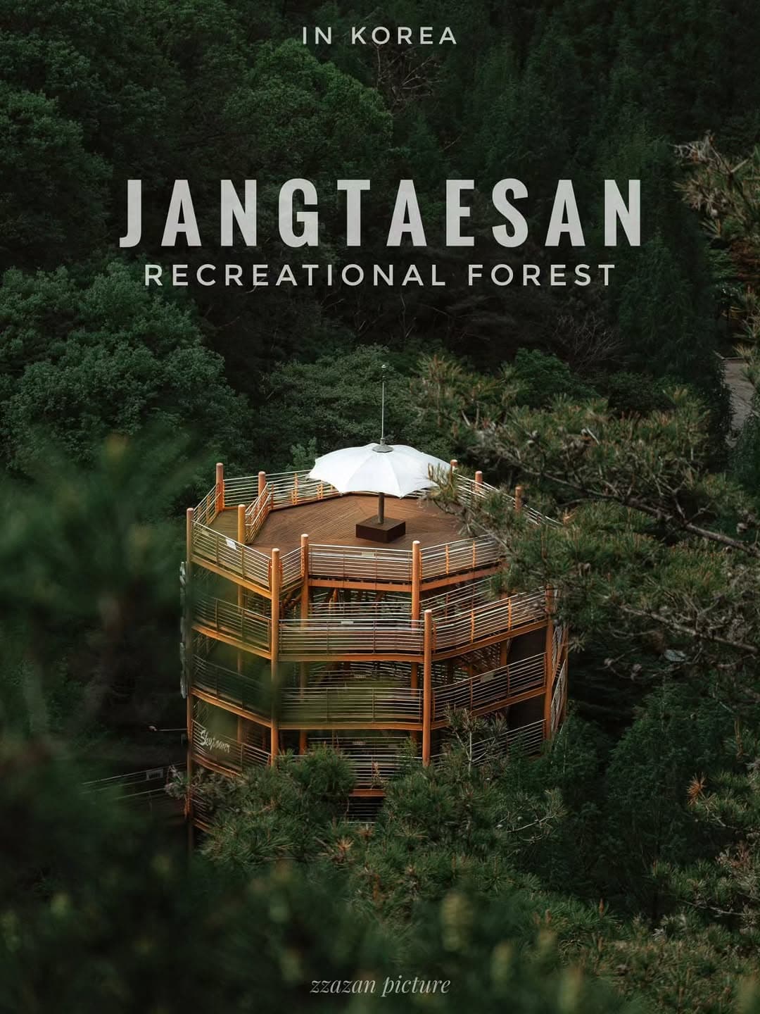 Daejeon Skyroad Offers Forest Views