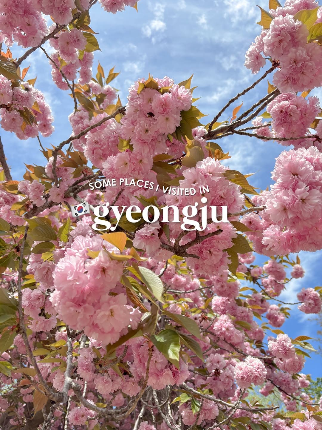 Explore Gyeongju's Historic Sites and Modern Amenities
