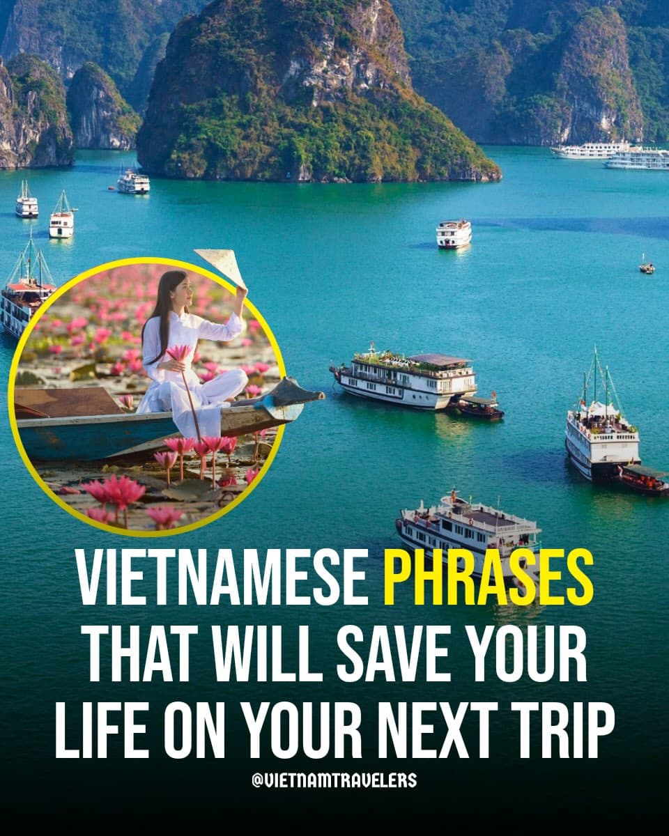 Must-See Vietnamese Destinations