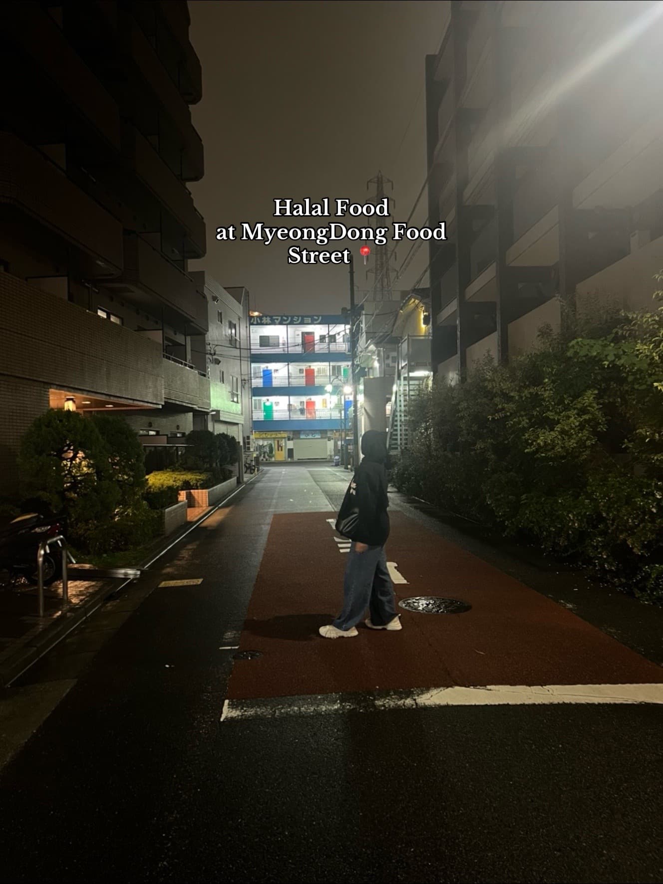 Myeongdong Street Food and Chicken