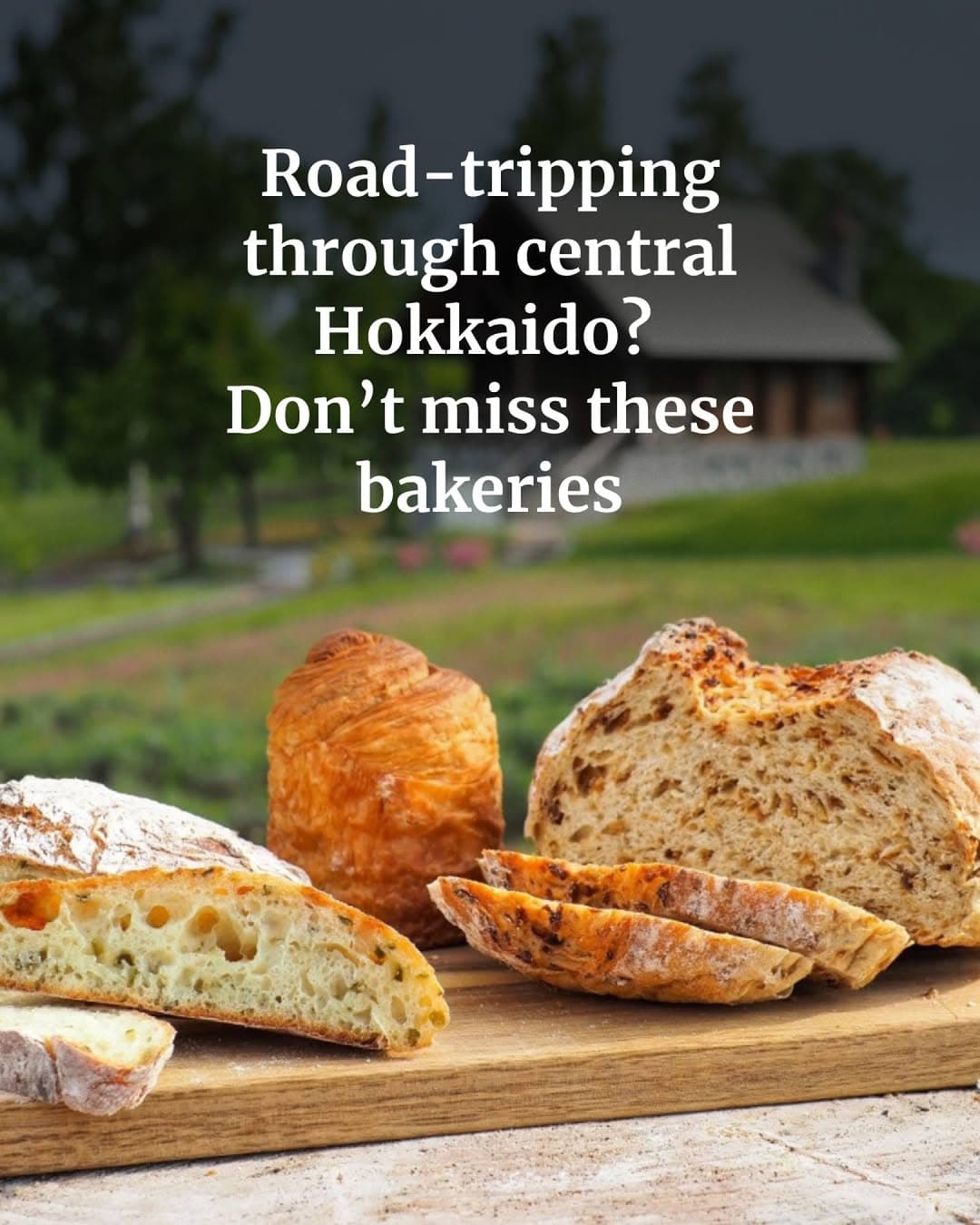 Kamikawa Region Bakeries for Road Trip Stops