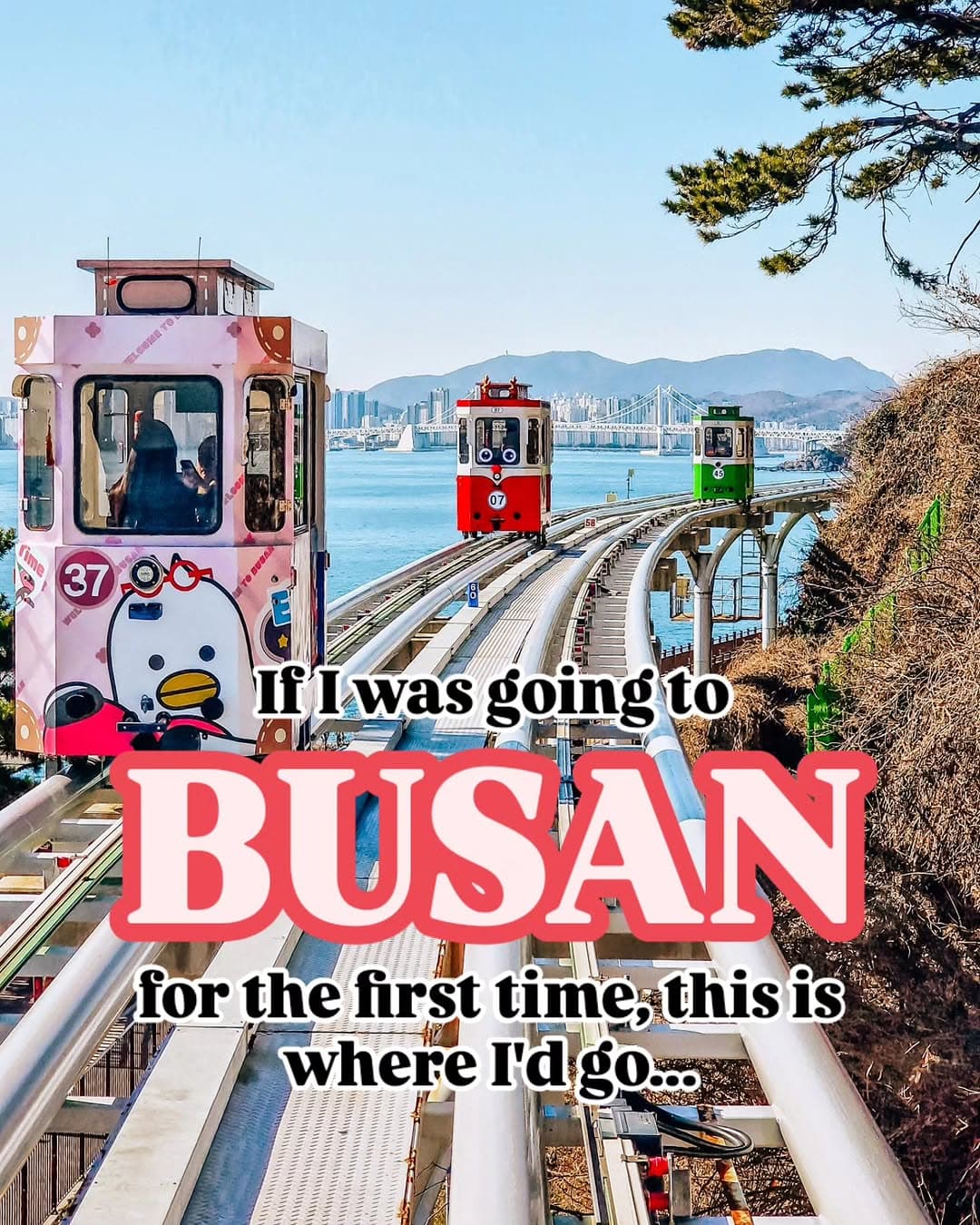 Busan's Top Attractions And Cultural Hotspots