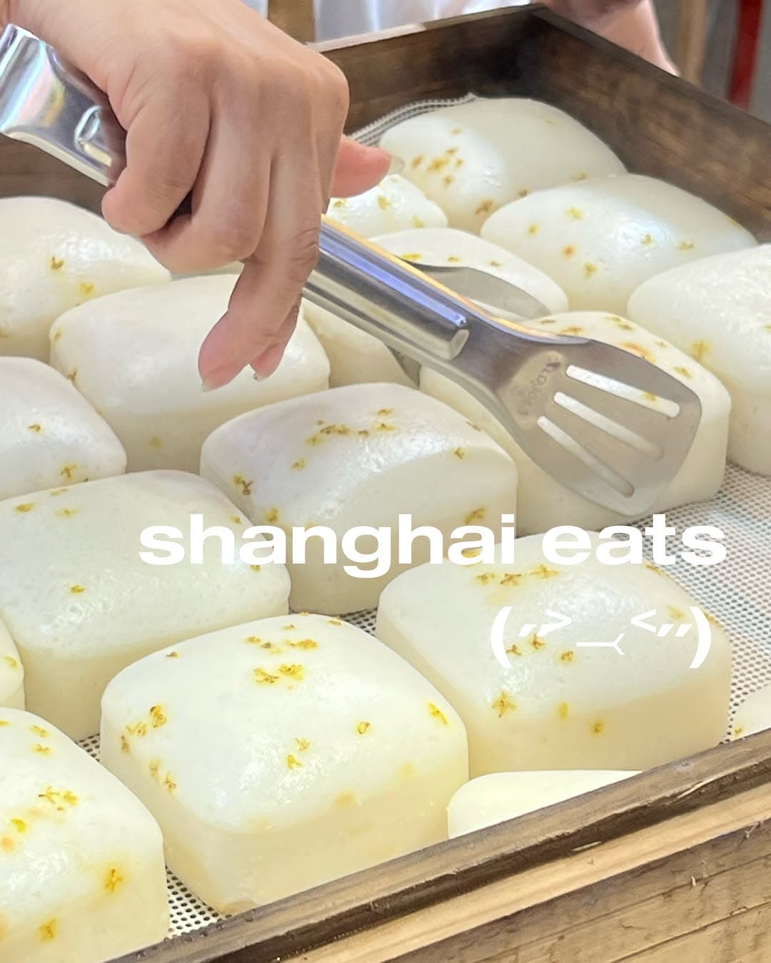 Shanghai Dumpling Delights