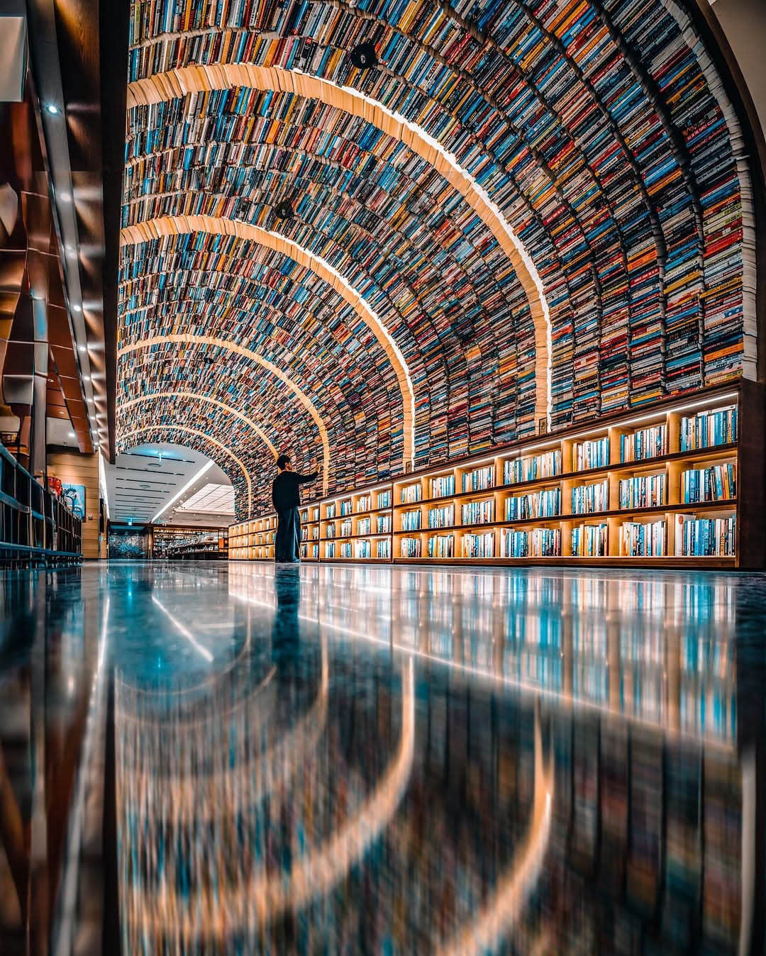 Dreamy Libraries in Seoul's Modern Architecture