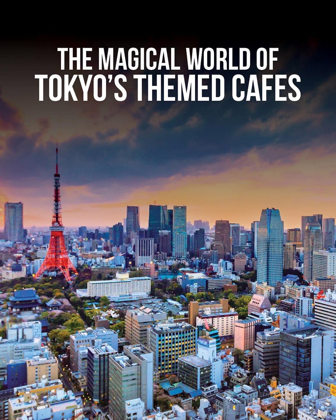 Tokyo's Fantastical Themed Cafes