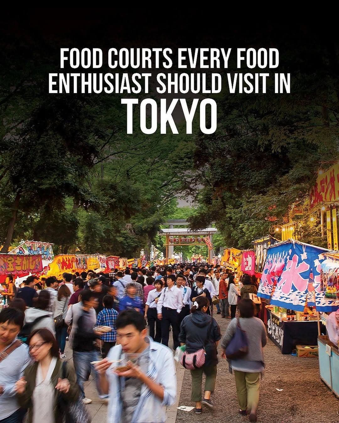 Tokyo's Best Food Courts For Delicious Japanese Cuisine