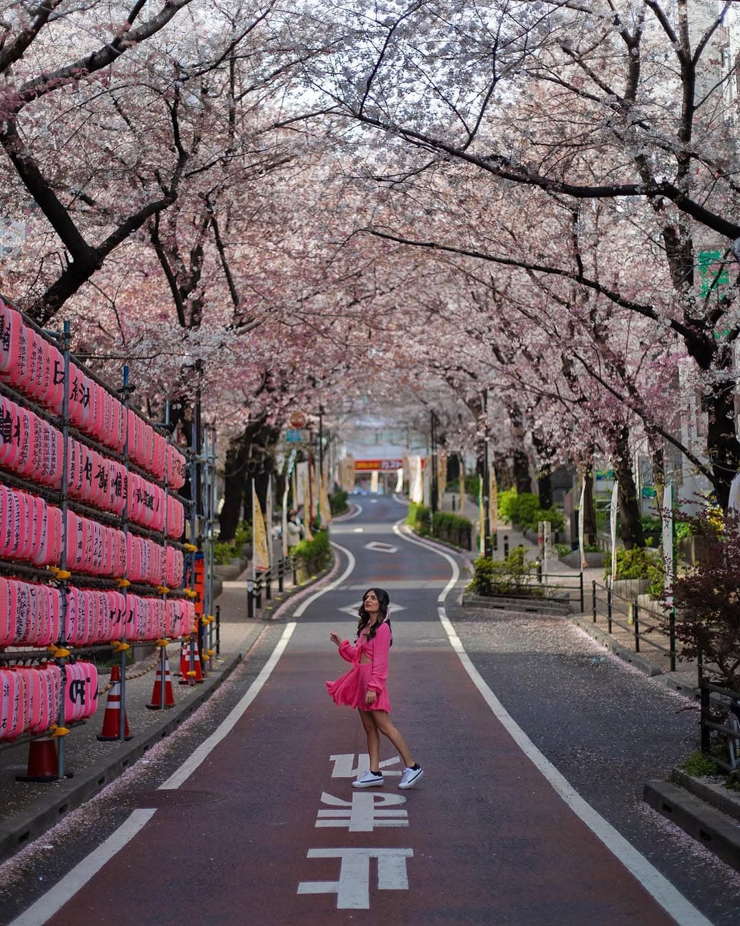 Tokyo Highlights: Scramble Crossing, TeamLab & More