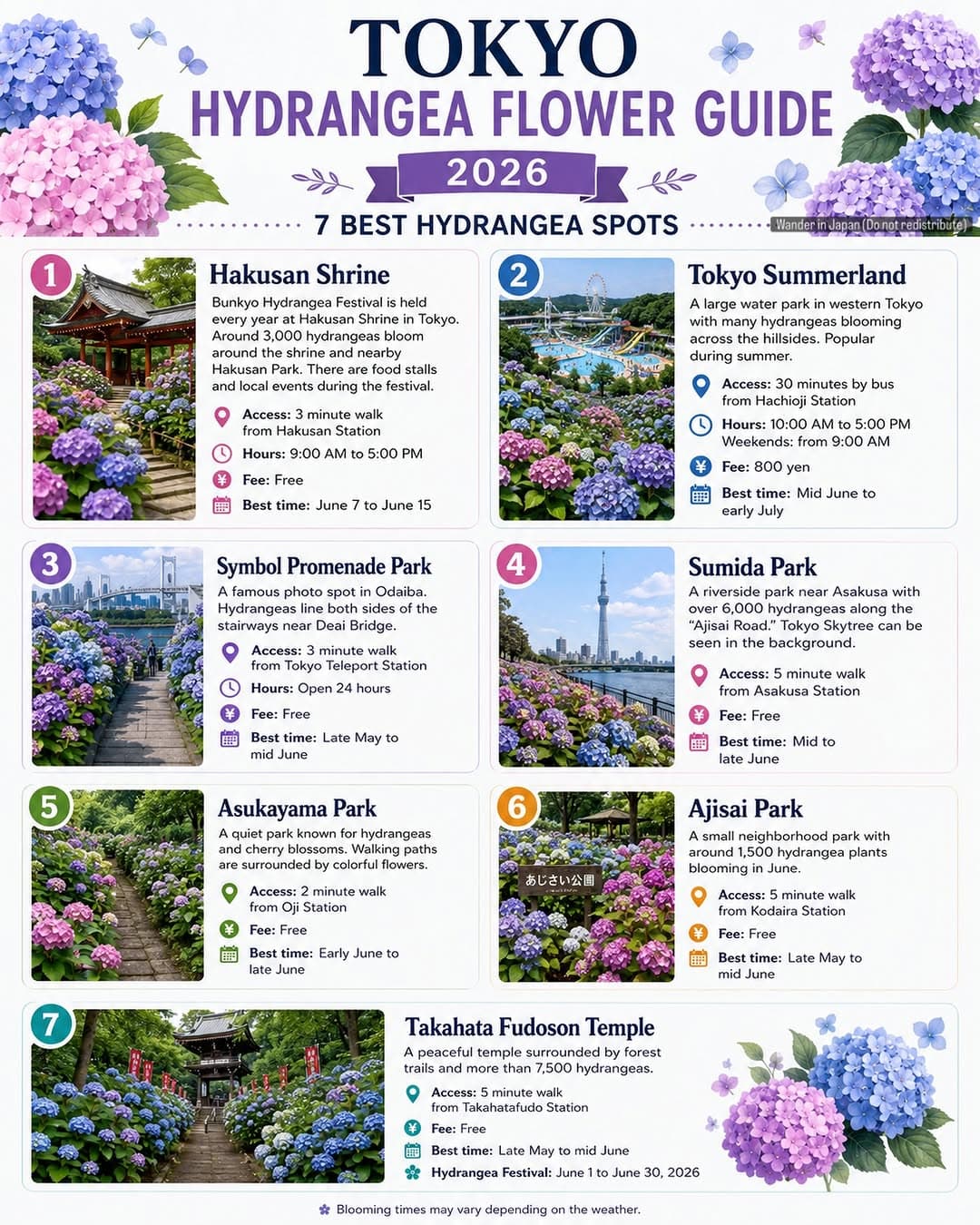 Tokyo Hydrangea Spots For Rainy Season Blooms