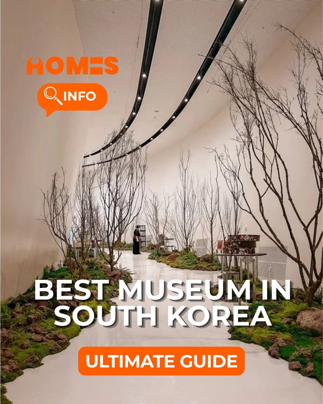 Top Museums for Art, Architecture, and History