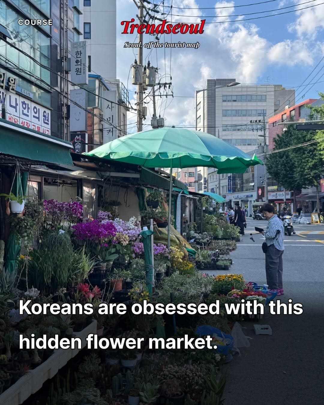 Seoul's Flower Market And Historic Jongno Area