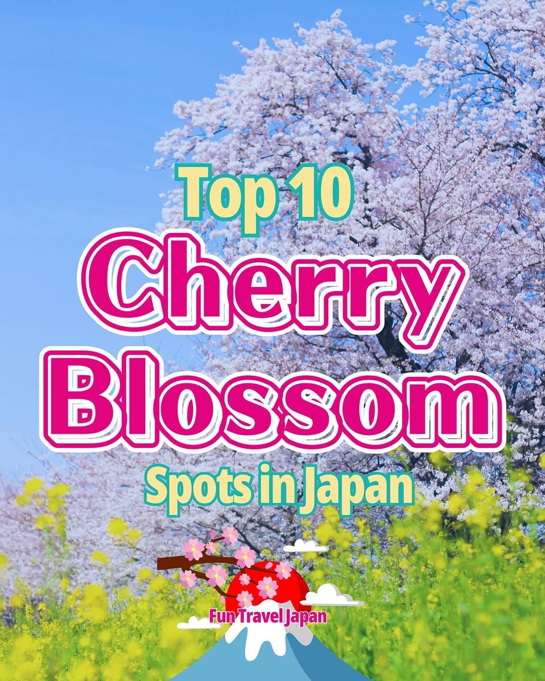 Top 10 Cherry Blossom Viewing Spots In Japan