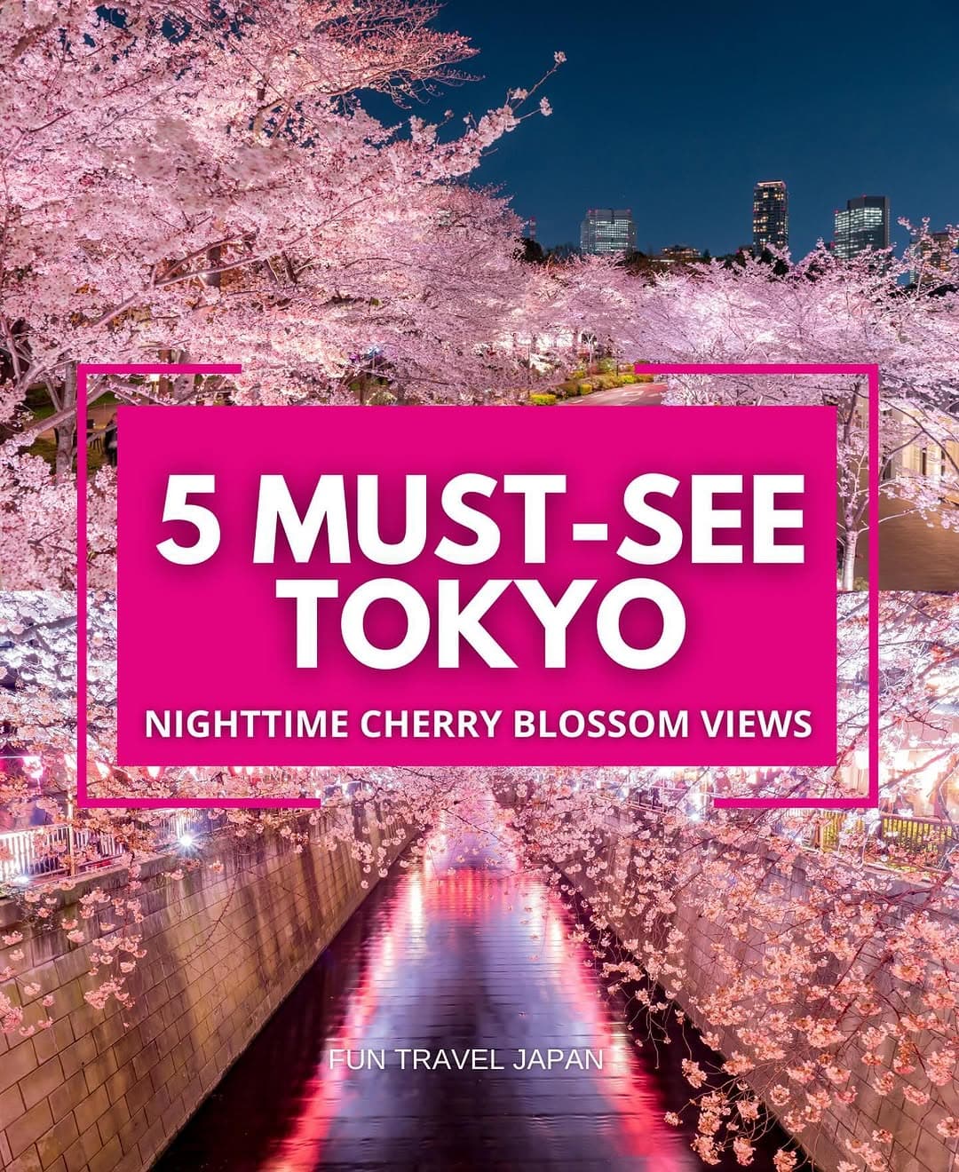 Tokyo's Top 5 Nighttime Cherry Blossom Viewing Spots