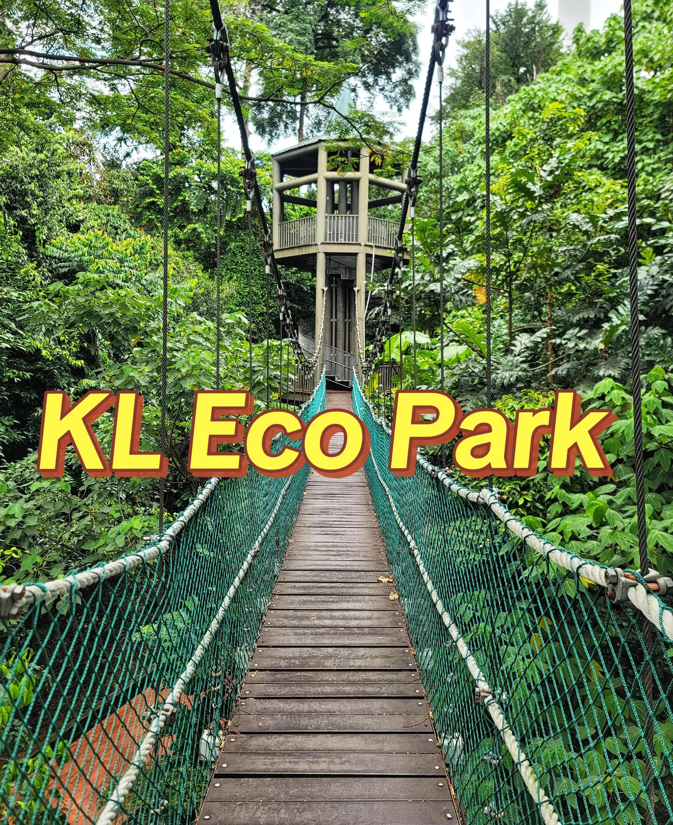 Kuala Lumpur's Urban Rainforest Adventures