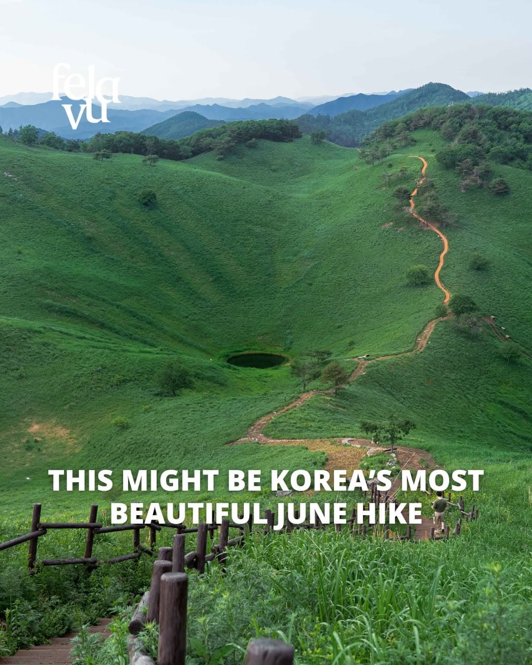 Mindungsan: Korea's Green Mountain Escape