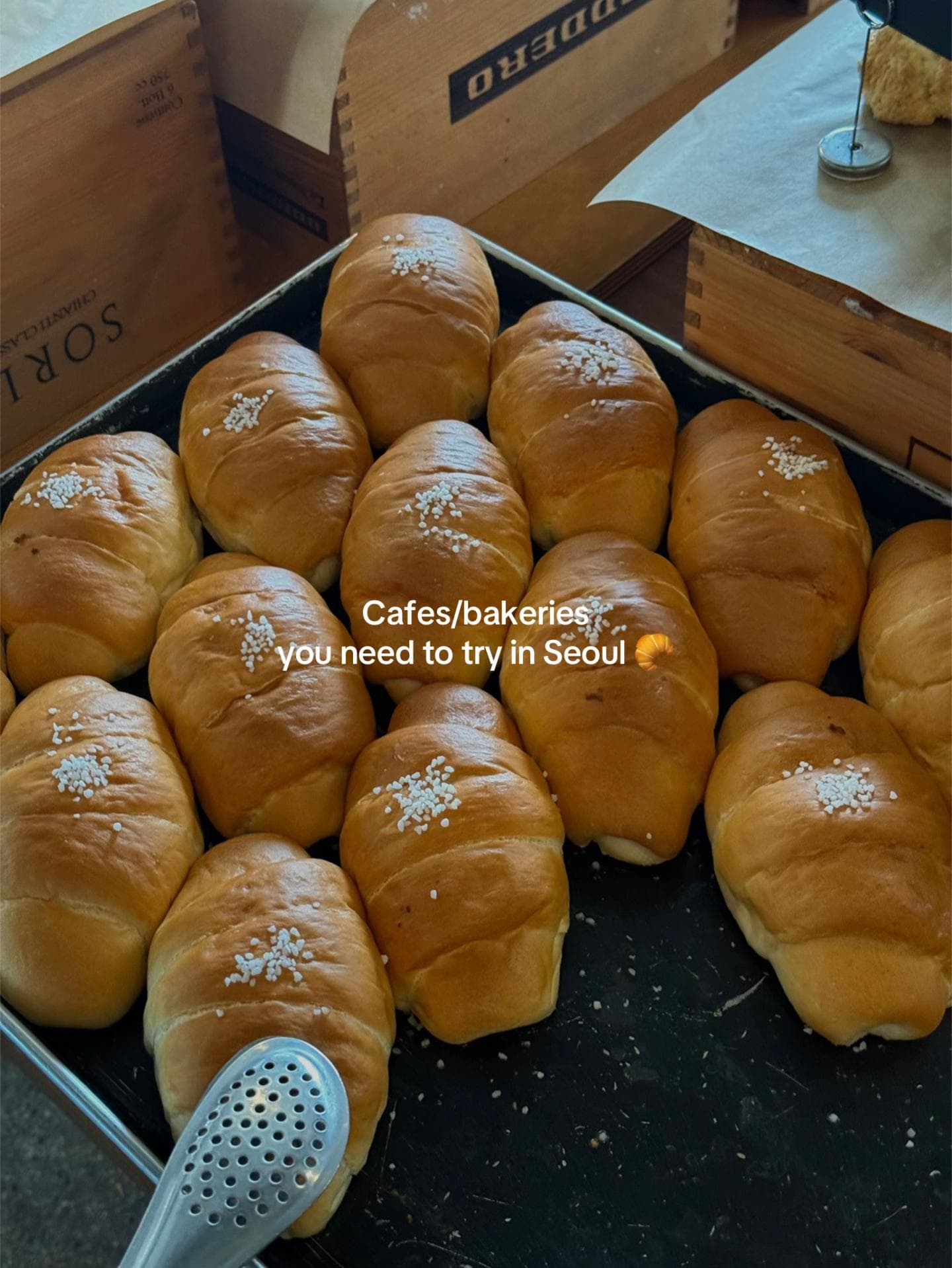 Four Places for Salt Bread And Unique Cafes
